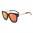 Classic Fashion Sunglasses D5016P