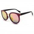 Cooleyes Classics Fashion Sunglasses D9626