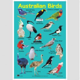 Australian Birds - Educational Chart (MM07306)