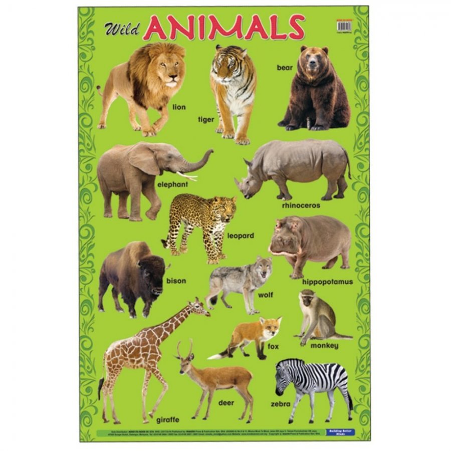 Wild Animals - Educational Chart (MM14898)