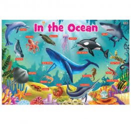 In the Ocean - Educational Chart (MM25003)