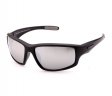 Swisssport Sunglasses - Gold Tag SW286